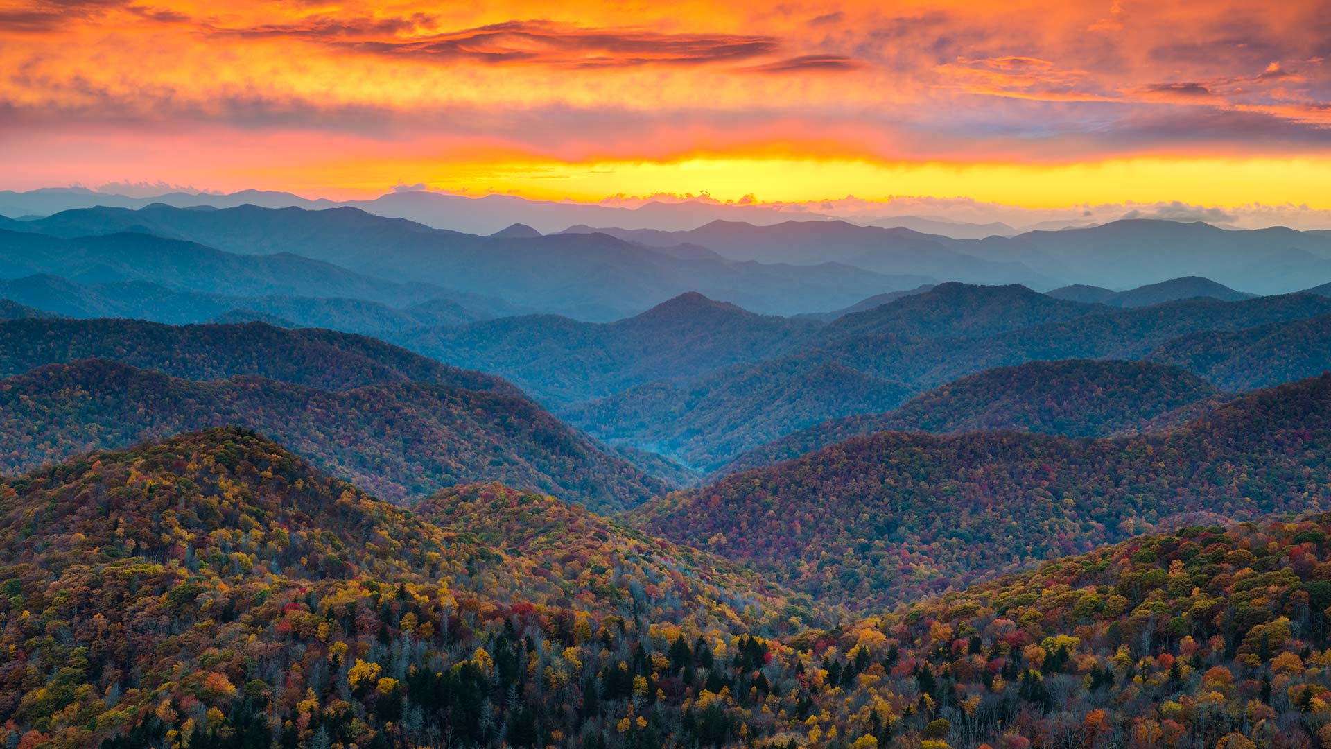 Blue ridge mountains. Грейт Смоки Маунтинс. Смоки-Маунтинс (Северная Каролина и Теннесси). Голубые горы Аппалачи. Стоун-Маунтин Аппалачи.